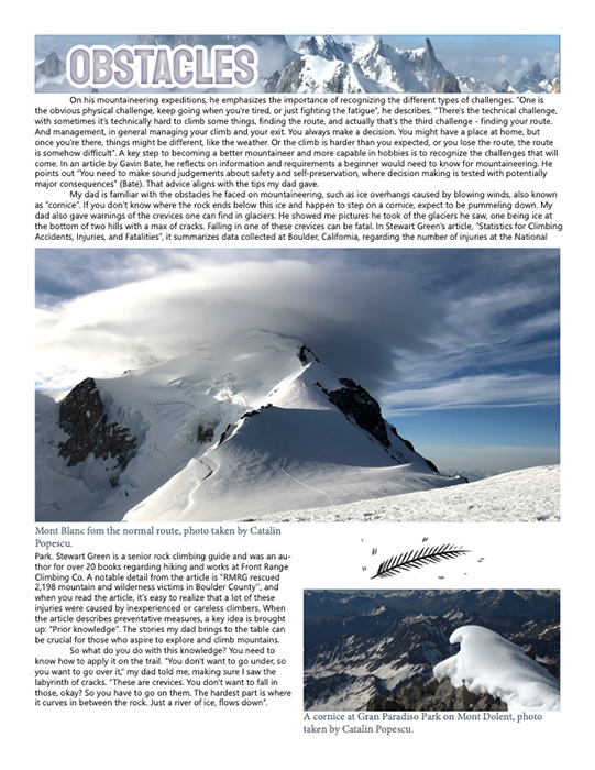 Article by Letitia Popescu